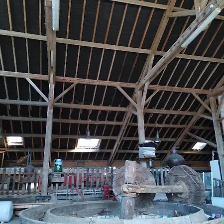 Ferme Du Vaucanu *