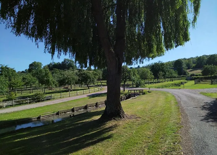 Ferme Du Vaucanu * Vimoutiers